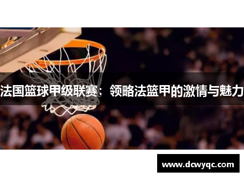 法国篮球甲级联赛：领略法篮甲的激情与魅力