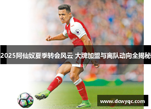 2025阿仙奴夏季转会风云 大牌加盟与离队动向全揭秘